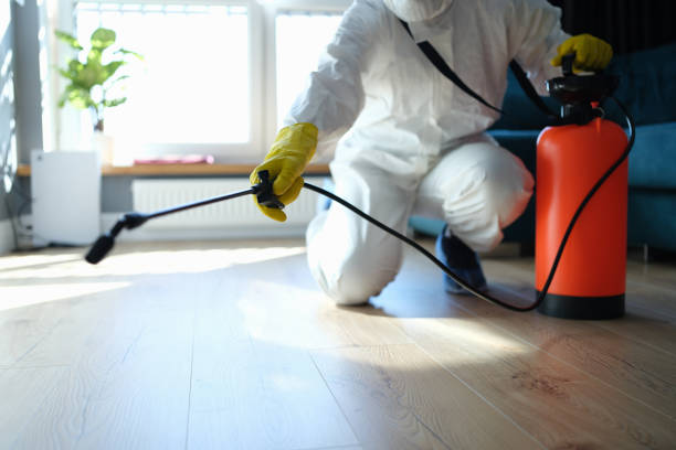 Reliable Biohazard contractor in Westville, IL by Trauma Clean Pros